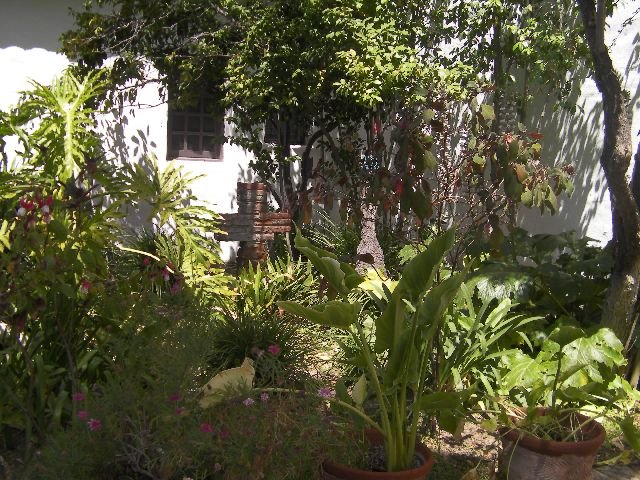 SANY0474