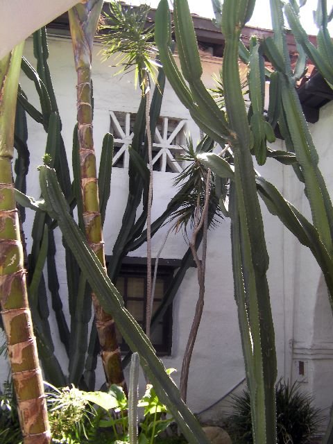 SANY0486