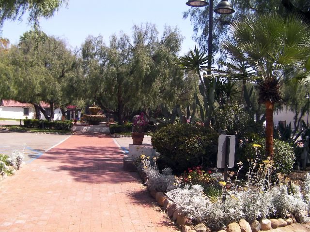 SANY0506