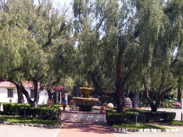 SANY0507