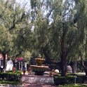 SANY0507